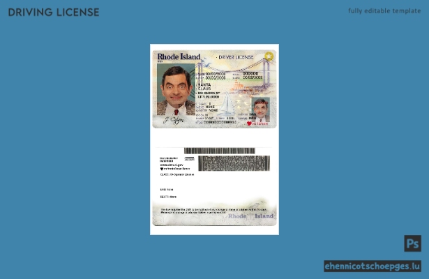 USA Rhode Island Staatsführerschein Beispielvorschau